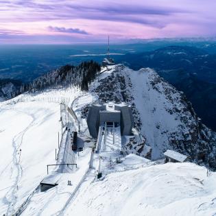 Fiore innevato